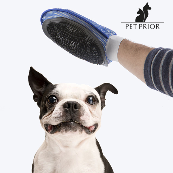 Česací Rukavice pro Domácí Zvířata Pet Prior Česací Rukavice pro Domácí Zvířata Pet Prior