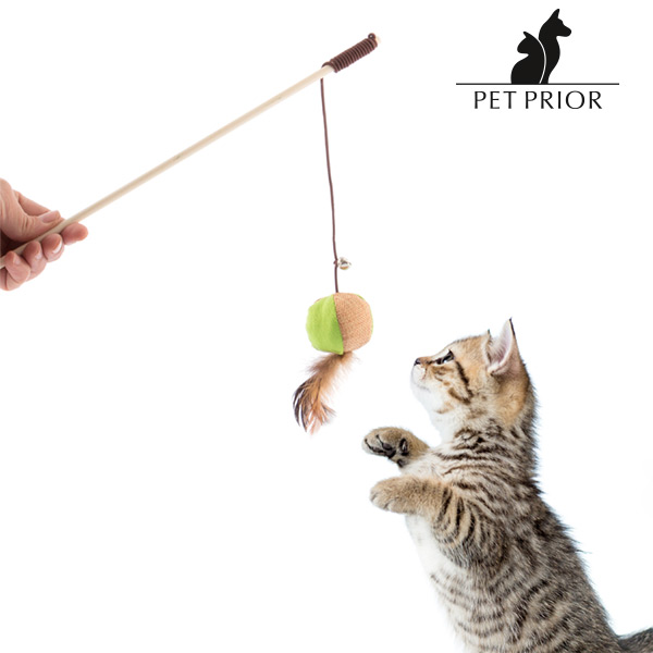Hračka pro Kočky Pet Prior Hračka pro Kočky Pet Prior