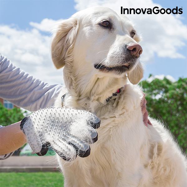 Rukavice na Česání a Masírování Domácích Mazlíčků InnovaGoods Rukavice na Česání a Masírování Domácích Mazlíčků InnovaGoods
