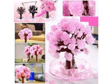 Magický strom Sakura