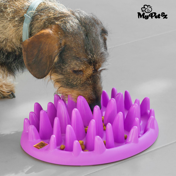 Interaktivní Miska pro Psy Slow Food Bowl My Pet Ez Interaktivní Miska pro Psy Slow Food Bowl My Pet Ez