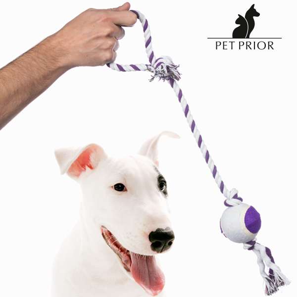 Míček na Laně pro Psy Pet Prior Míček na Laně pro Psy Pet Prior