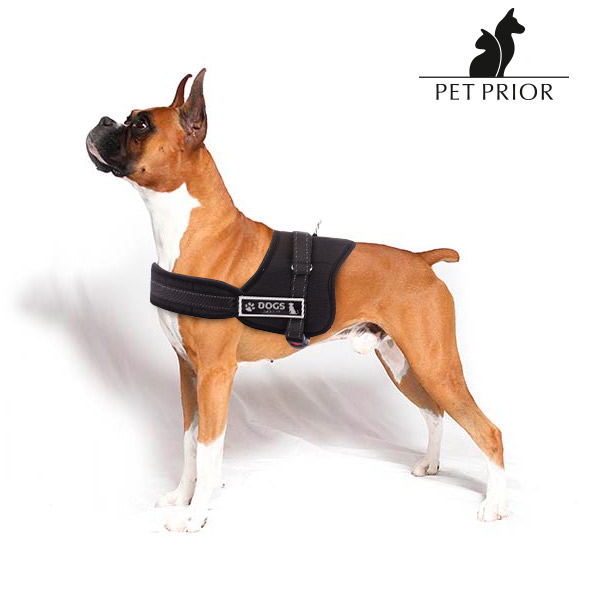 Nastavitelný Postroj pro Psy Pet Prior - M Nastavitelný Postroj pro Psy Pet Prior - M